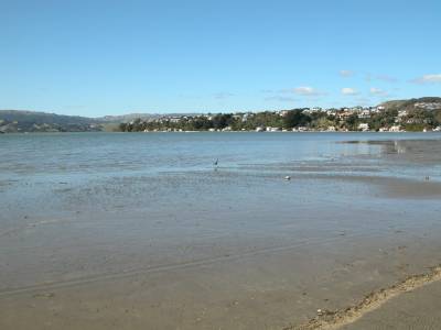 Pauatahanui Inlet (facing east)