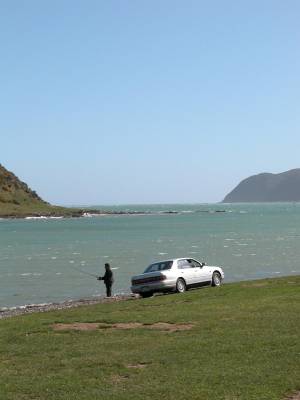Ngatitoa Domain (facing northwest)
