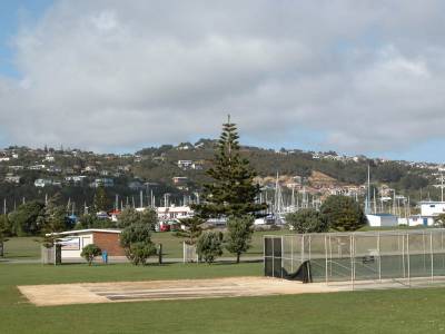 Ngatitoa Domain (facing south)
