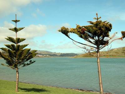 Ngatitoa Domain (facing southwest)