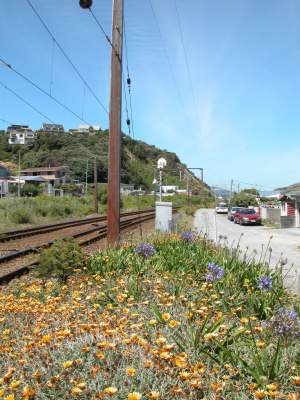 Plimmerton road junction (facing southwest)