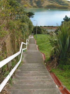 Doon Grove, Papakowhai (facing north)