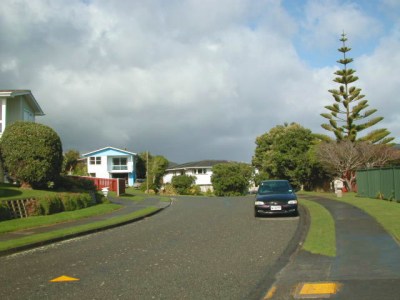 Doon Grove, Papakowhai (facing west)