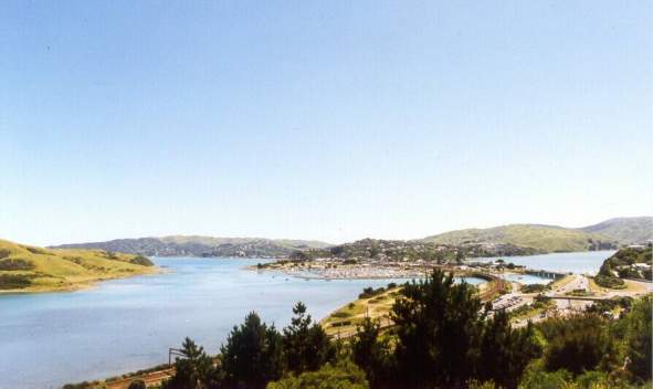 5  Doon Grove, Papakowhai (facing north)