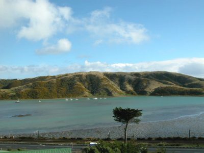 5  Doon Grove, Papakowhai (facing northwest)