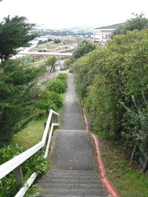 Half way down the steps running from Doon Grove to Papakowhai Rd (facing north)