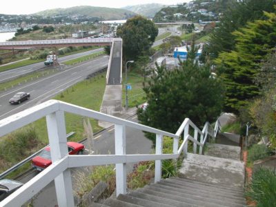 Half way down the steps running from Doon Grove to Papakowhai Rd (facing northeast)