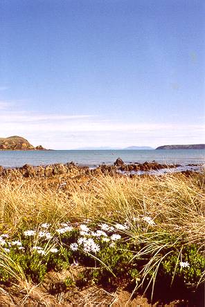 Plimmerton promenade (facing west)