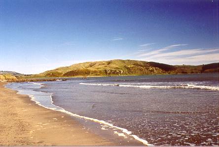 Plimmerton Beach (facing south)